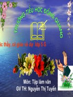 Tập làm văn - bài luyện tập tả cảnh