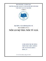 Tiểu luận môn tài chính quốc tế NỖI LO SỢ THẢ NỔI TỶ GIÁ