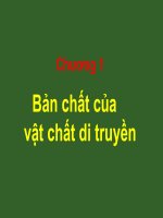 bài giảng di truyền