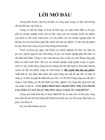 CÁC BIỆN PHÁP ĐẨY MẠNH TIÊU THỤ SẢN PHẨM TẠI CÔNG TY SẢN XUẤT THƯƠNG MẠI VÀ ĐẦU TƯ ANH DŨNG