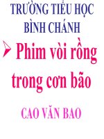 vÒI RỒNG TRONG CƠN BÃO