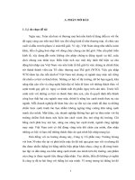 Một số giải pháp nhằm nâng cao năng lực cạnh tranh của công ty cổ phần may trường giang