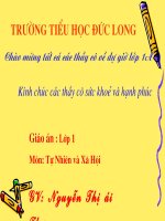 Bài: Tự nhiên và xã hội (Lớp 1)