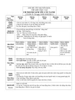 TGTV: Cây xanh (tuần 23)