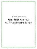 SKKN Một số biện pháp nhằm giảm tỷ lệ học sinh bỏ học