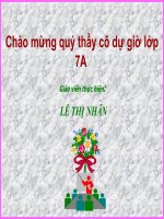 T40:Thằn làn bóng đuôi dài