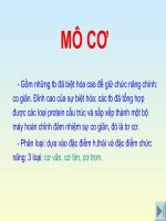 Slide bài giảng mô phôi