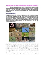 Đa dạng sinh học - Cần cân bằng giữa bảo tồn và khai thác