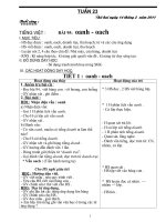 TUAN 23 Lớp 1 KNS  ( Vân QT )