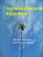 day mẫu chiều tối