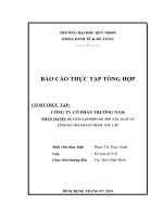Báo cáo thực tập tổng hợp tại CT CP Trường Nam