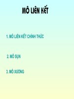 slide bài giảng mo sun