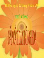 TC Gấp cắt dán bông hoa