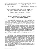 Bao cao PCGD THDĐT năm 2010