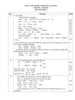 ĐÁP ÁN THAM KHẢO ĐỀ THI CHỌN HSG