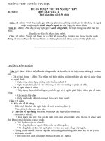 Đề luyện thi Tốt nghiệp số 29