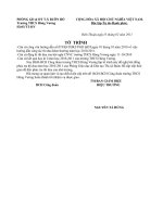 TỜ TRÌNH PHÚC TRA THI ĐUA