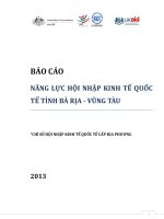 Báo cáo Năng lực hội nhập kinh tế quốc tế tỉnh Bà Rịa - Vũng Tàu 2013