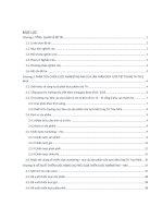 BAI TIEU LUAN NGHIEN CỨU CHIẾN LƯỢC MARKETING CỦA TH TRUE MILK