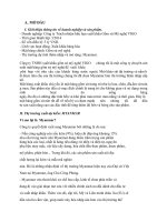 chiến lược xuất khẩu sản phẩm gỗ mỹ nghệ vào thị trường myanma của công ty trách nhiệm hữu hạn xuất khẩu gốm sứ mỹ nghệ VIGO