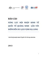 Báo cáo Năng lực hội nhập kinh tế quốc tế tỉnh Quảng Ninh gắn với điểm đến du lịch Vịnh Hạ Long 2013