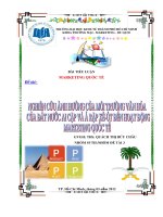 Nghiên cứu môi trường văn hóa nước Ai Cập và Ả Rập Xê Út ảnh hưởng tới hoạt động Marketing quốc tế