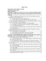 HOÀN THIỆN CƠ CHẾ THU BẢO HIỂM XÃ HỘI ĐỐI VỚI CÁC DOANH NGHIỆP Ở VIỆT NAM (LẤY VÍ DỤ Ở TỈNH NAM ĐỊNH)