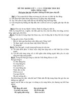 Đề thi KSHSG- Lớp 5- Môn TV- Vòng 3