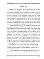 Đồ án tốt nghiệp: Điều chỉnh tốc độ động cơ rôtor lồng sóc