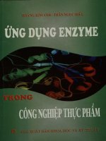 Ứng dụng Enzyme trong công nghiệp thực phẩm