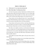 Luận văn báo cáo về tài liệu polime ba thành phần