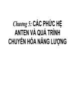 CÁC PHỨC HỆ ANTEN VÀ QUÁ TRÌNH CHUYỂN HÓA NĂNG LƯỢNG