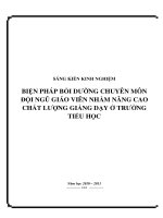 SKKN Biện pháp bồi dưỡng chuyên môn đội ngũ giáo viên nhằm nâng cao chất lượng giảng dạy ở trường tiểu học