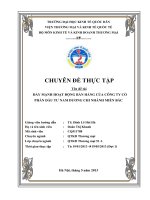 Đẩy mạnh hoạt động bán hàng của Công ty cổ phần đầu tư Nam Dương chi nhánh miền Bắc