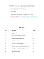 Tiểu luận môn Cơ sở Văn hóa Việt Nam