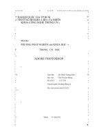 Tiểu luận Phân tích các nguyên lý sáng tạo khoa học trong lĩnh vực thương mại điện tử
