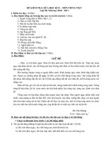 Đề thi Tiếng Việt giữa HKII