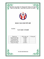 báo cáo chuyên đề vật liệu cơ khí