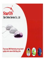 Ứng Dụng Sms Marketing Trong Doanh Nghiệp Kinh Doanh Bất Động Sản