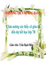 Tiết 46. Sự đa dạng và đặc điểm chung của lớp chim(Hay)