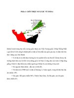 Những điều cần chú ý khi đàm phán hợp đồng với người Dubai