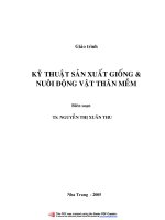 Kỹ thuật sản xuất giống và nuôi động vật thân mềm - Dành cho chương trình Cao học