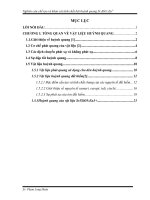 Nghiên cứu chế tạo và khảo sát tính chất bột huỳnh quang Sr3SiO5Eu3+