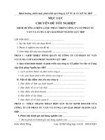 Kế hoạch kinh doanh và kết quả kinh doanh tại công ty SRP