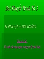 vi sinh vat va moi truong