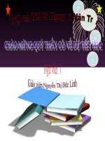 Tiết 58:Chơi chữ