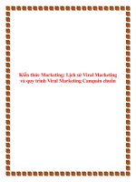Kiến Thức Marketing: Lịch Sử Viral Marketing Và Quy Trình Viral Marketing Campain Chuẩn
