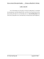 Phân tích hiệu quả sản xuất kinh doanh của Công ty TNHH cơ khí xây dựng VDC