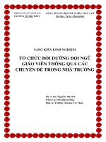 SKKN Tổ chức bồi dưỡng đội ngũ giáo viên thông qua các chuyên đề trong nhà trường