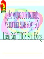 Bài giảng sinh hoạt Đội tháng 1